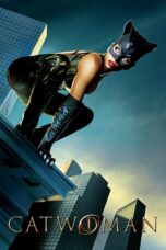 Catwoman (2004) Dual Audio [Hindi + English] BluRay ESub 720p