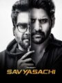 Savyasachi (2018) South [Hindi + Telugu] UnCut HDRip ESub 720p