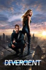 Divergent (2014) Dual Audio [Hindi + English] BluRay ESub 720p