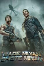 Bade Miyan Chote Miyan (2024) Hindi HDRip ESub 720p